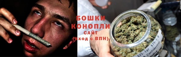 PSILOCYBIN Инсар
