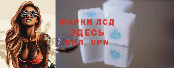 PSILOCYBIN Инсар