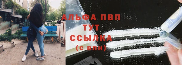 PSILOCYBIN Инсар