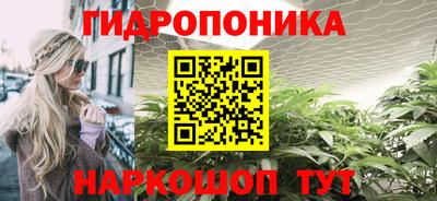 гидра Абакан