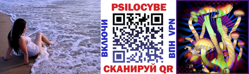 Галлюциногенные грибы Psilocybe  цена наркотик  Славгород 
