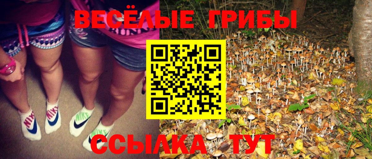 Галлюциногенные грибы Magic Shrooms Славгород