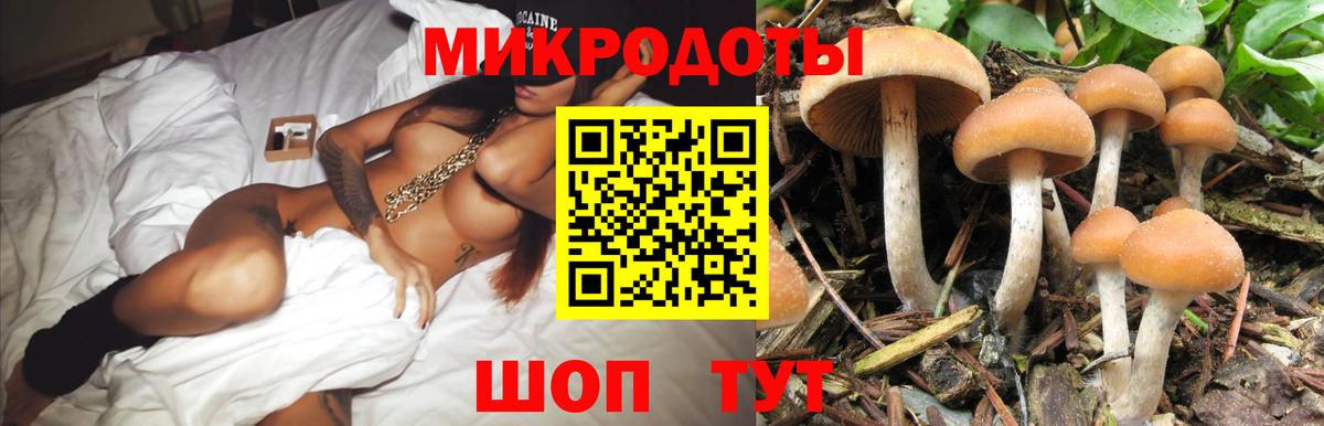 Псилоцибиновые грибы прущие грибы Славгород