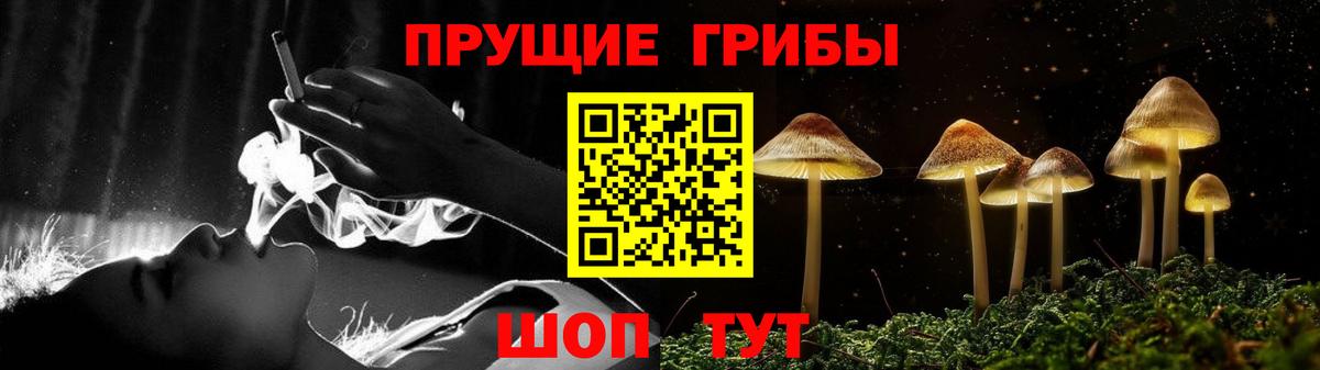 Галлюциногенные грибы мухоморы  Вход с VPN  Галлюциногенные грибы Psilocybe  Славгород 