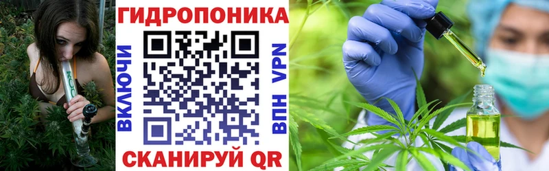 hydra tor  продажа наркотиков  Славгород  Бошки Шишки сатива 